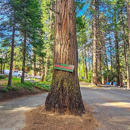 Вилла Water'S Edge Retreat Шейвер Лейк Экстерьер фото